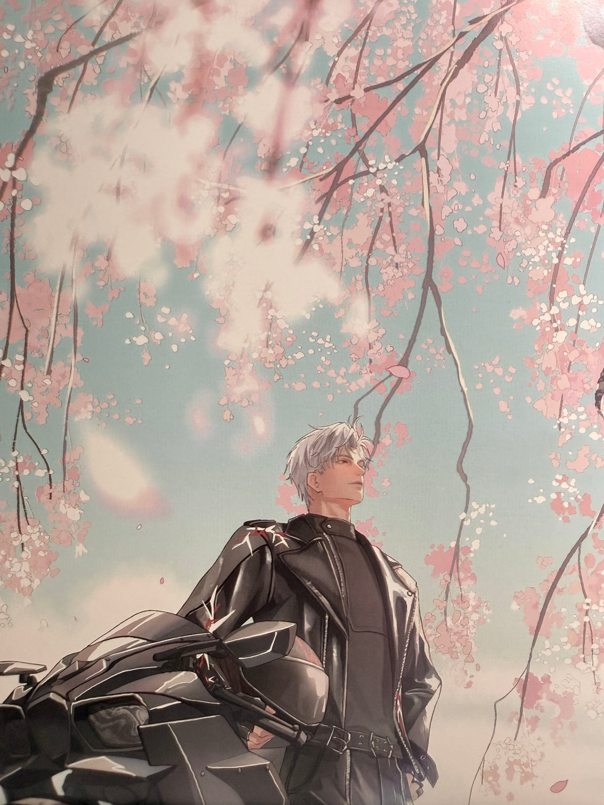 *In Stock* Sylus Art Book “The Seasons”