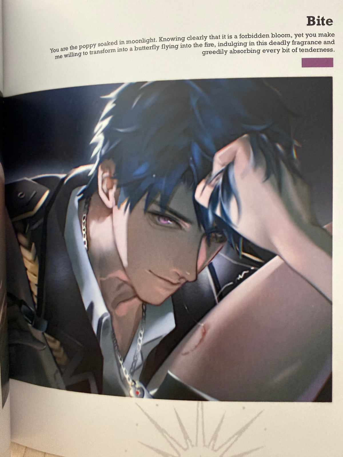 *OutOfStock* Caleb Art Book “Eden’s Haze”