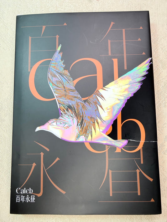 *Preorder* Caleb Art Book "Eternal Daylight"