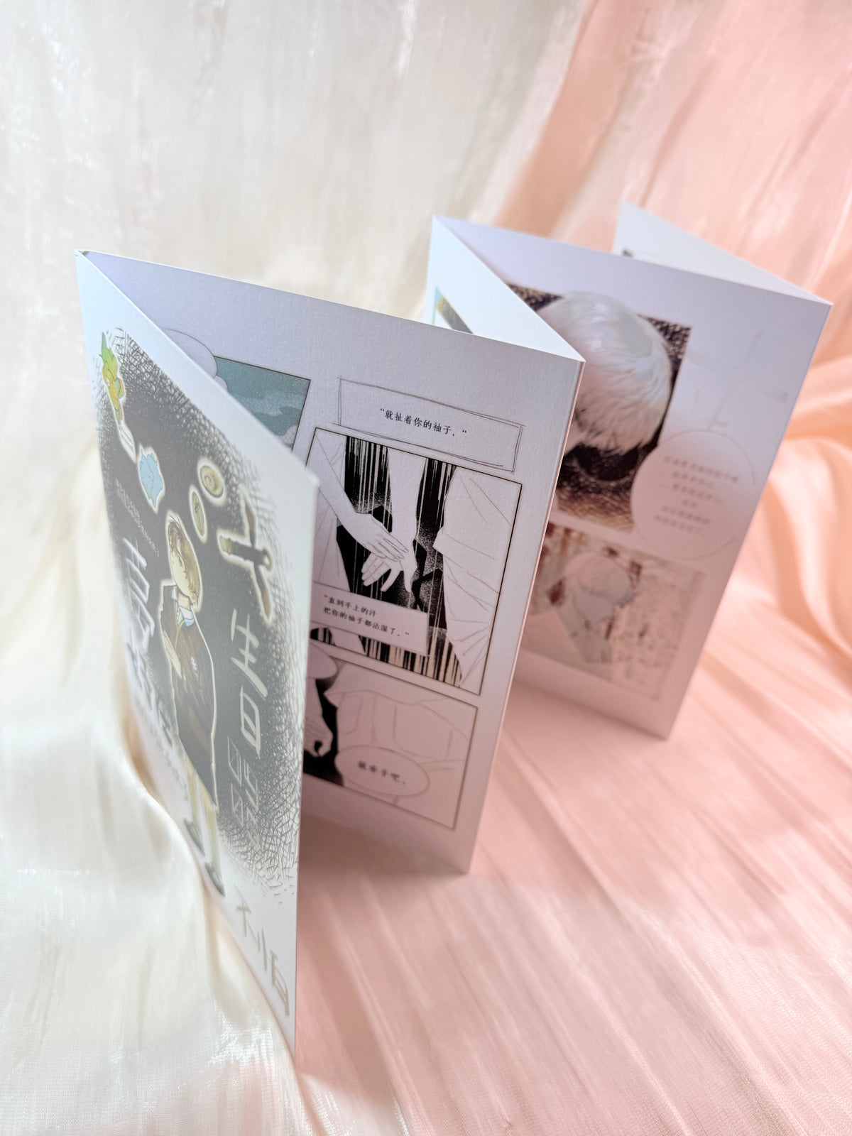 Zayne Accordion Book "Thankfully, We've Both Grown Up"