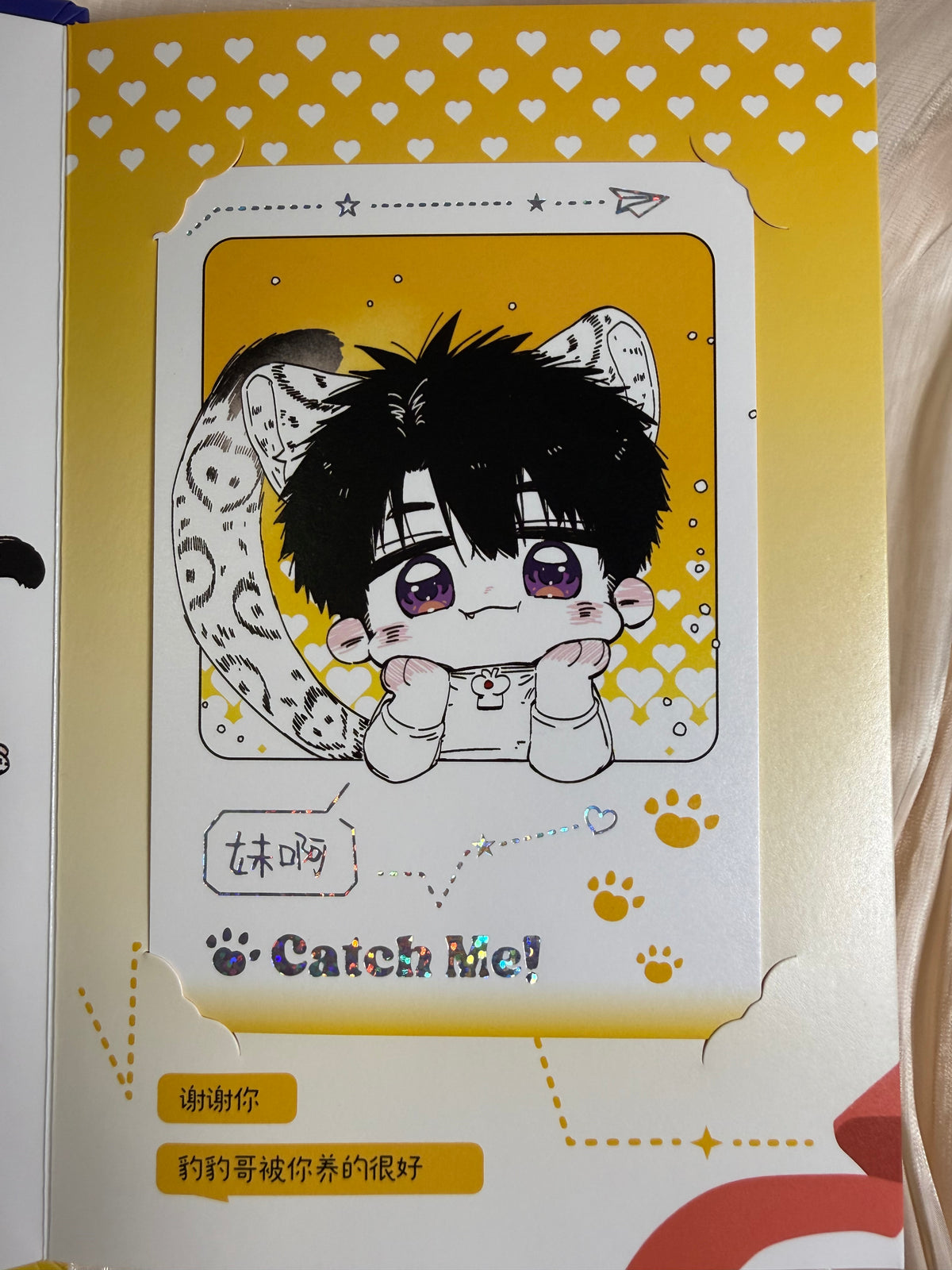 *In Stock* Caleb Accordion Book "Catch Me!" with Card Set