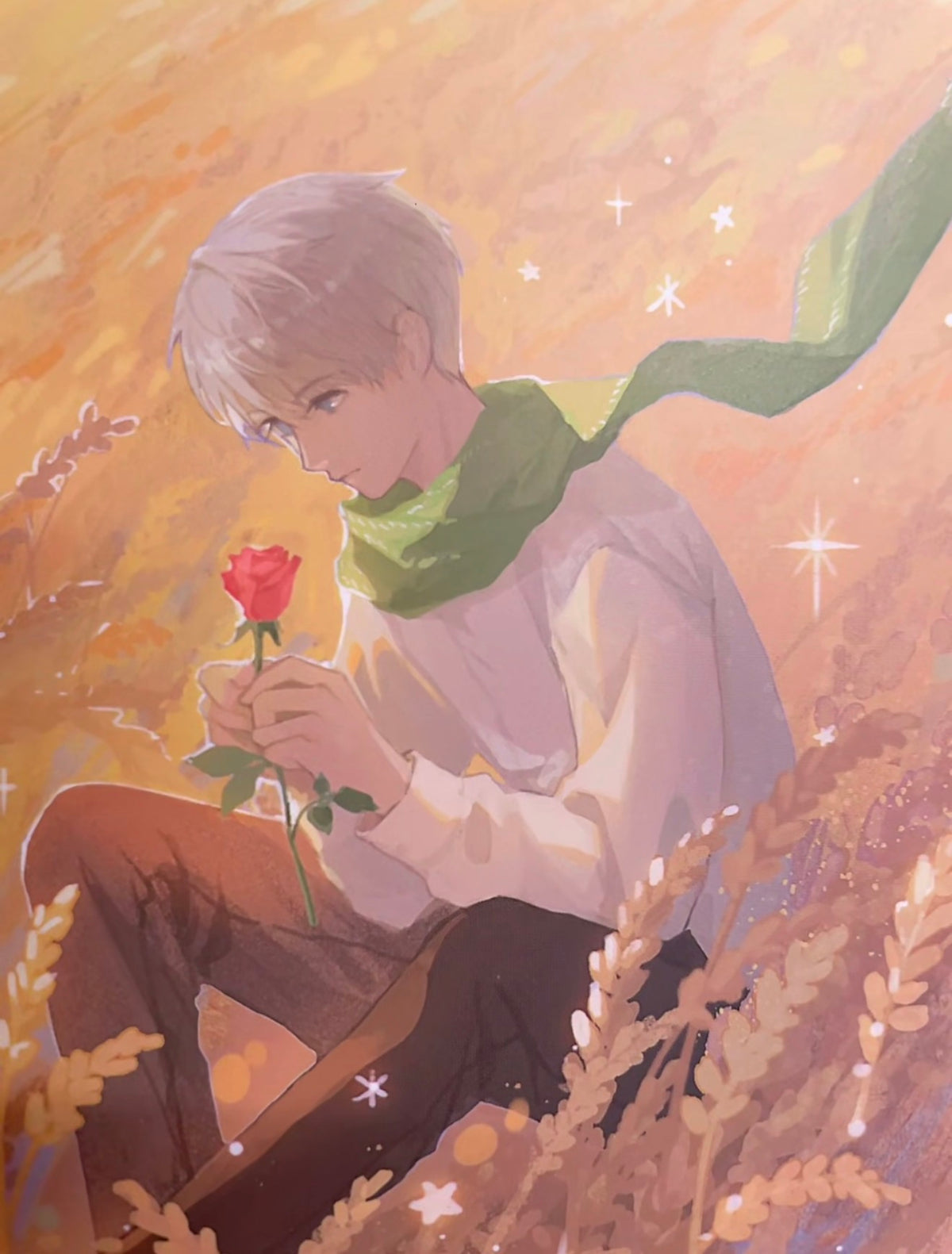 Xavier Art Book “Wishing Star”