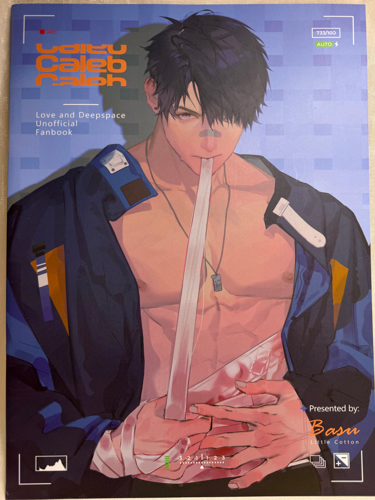 *OutOfStock* Caleb Art Book “Endless Summer”
