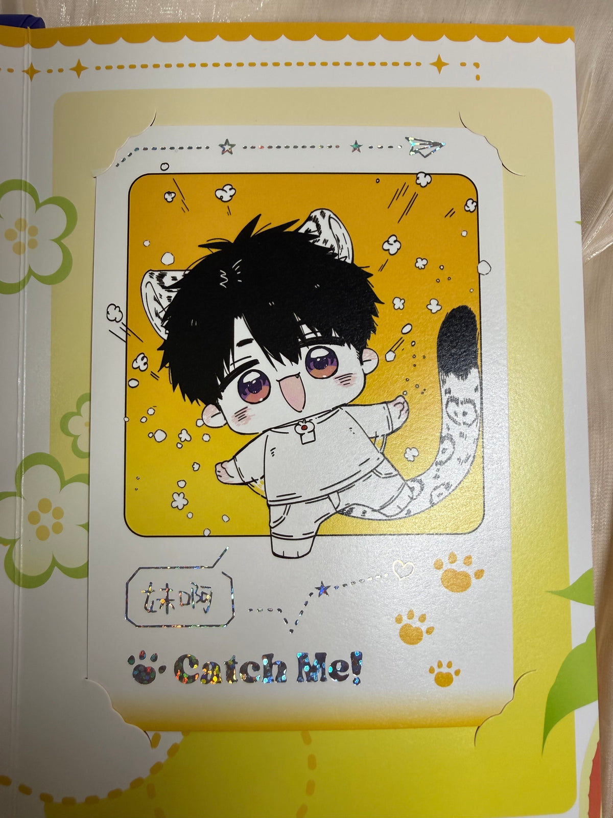 *In Stock* Caleb Accordion Book "Catch Me!" with Card Set