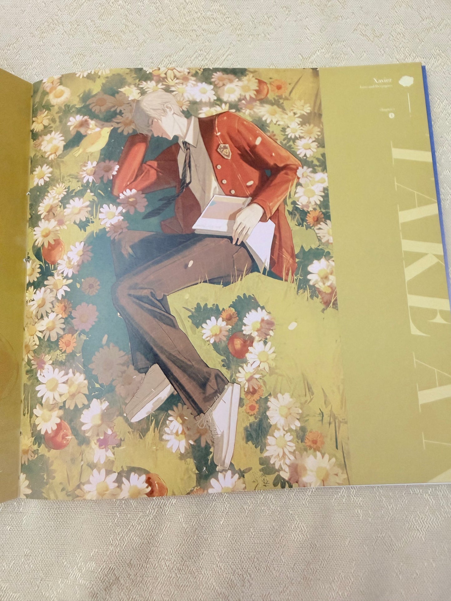 *BackOrder* Xavier Art Book “Stars Are Always Wandering”