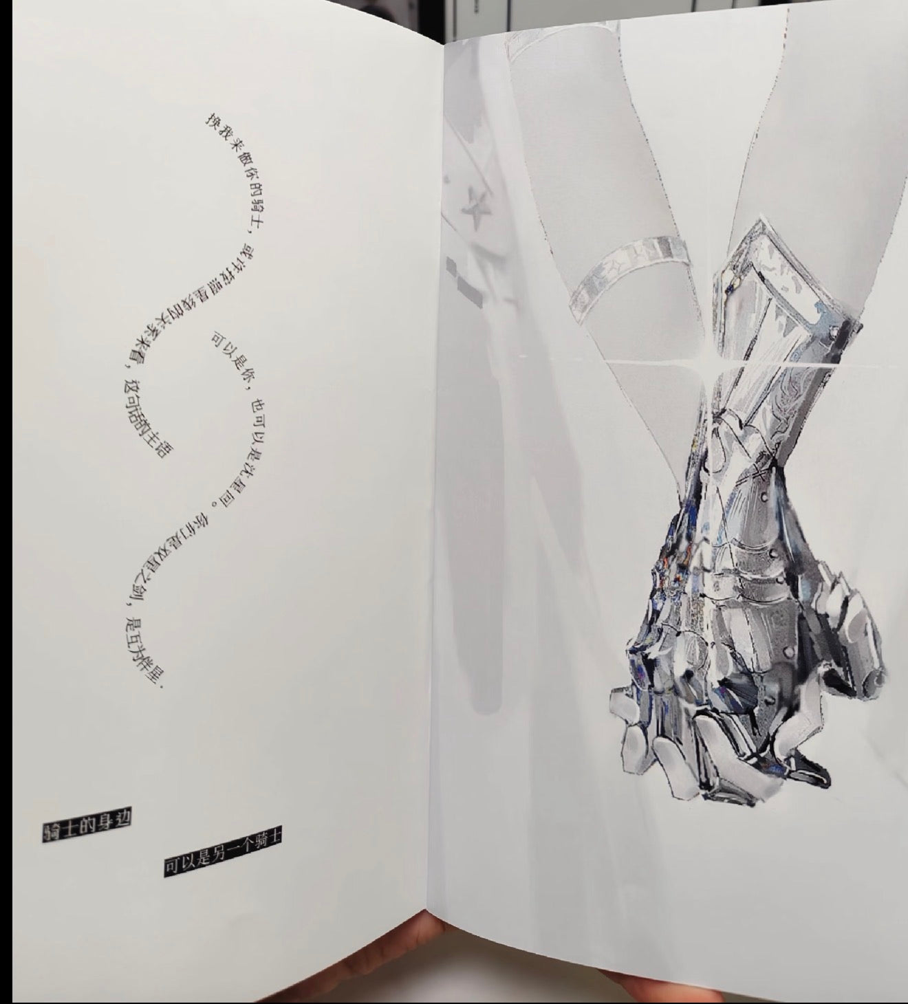 *BackOrder* Xavier Art Book “Echo”