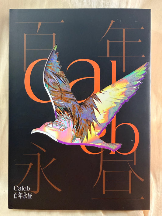 *In Stock* Caleb Art Book "Eternal Daylight"