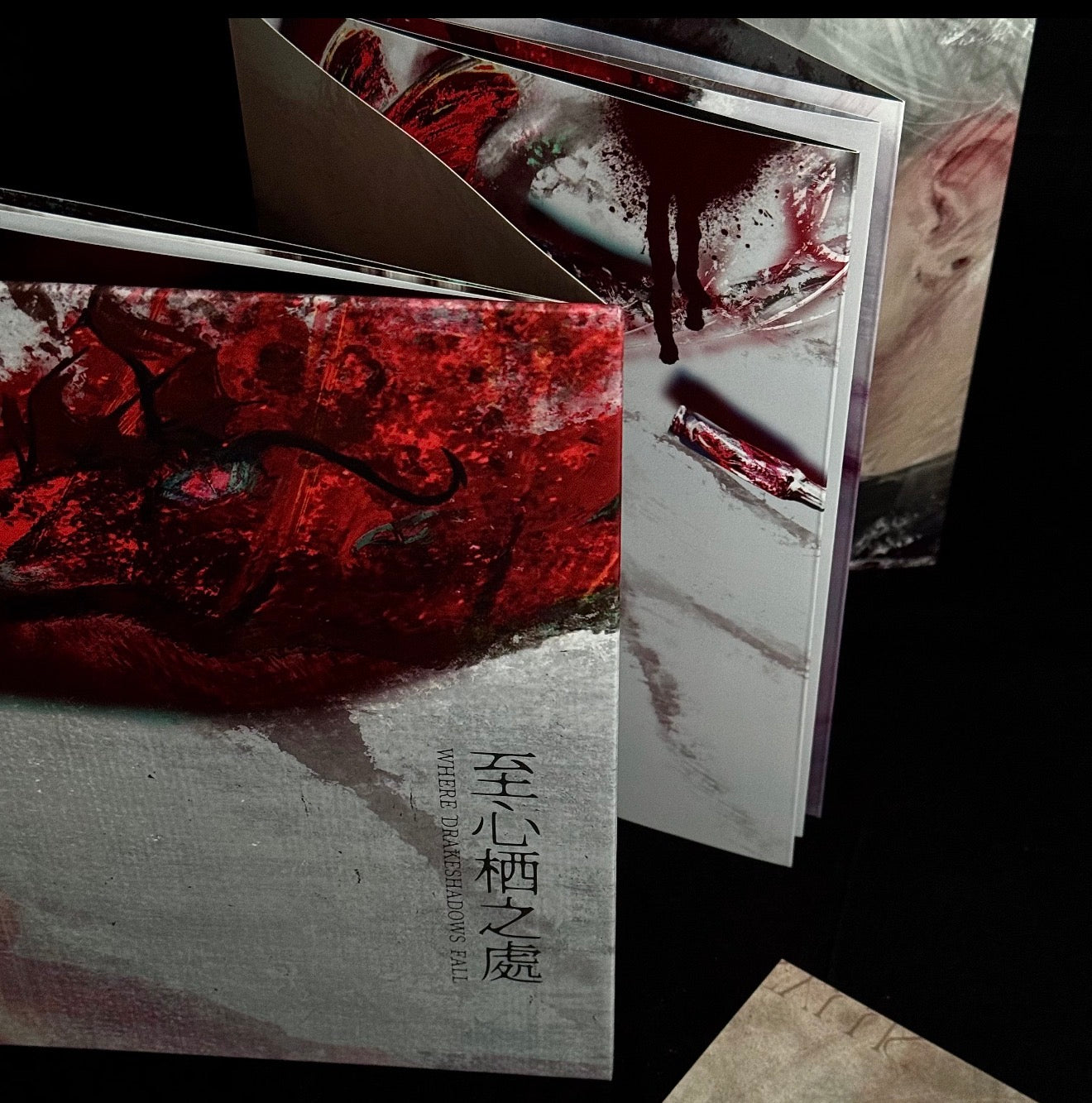 *Preorder* Sylus Foldout Collection “Where Drakeshadows Fall”