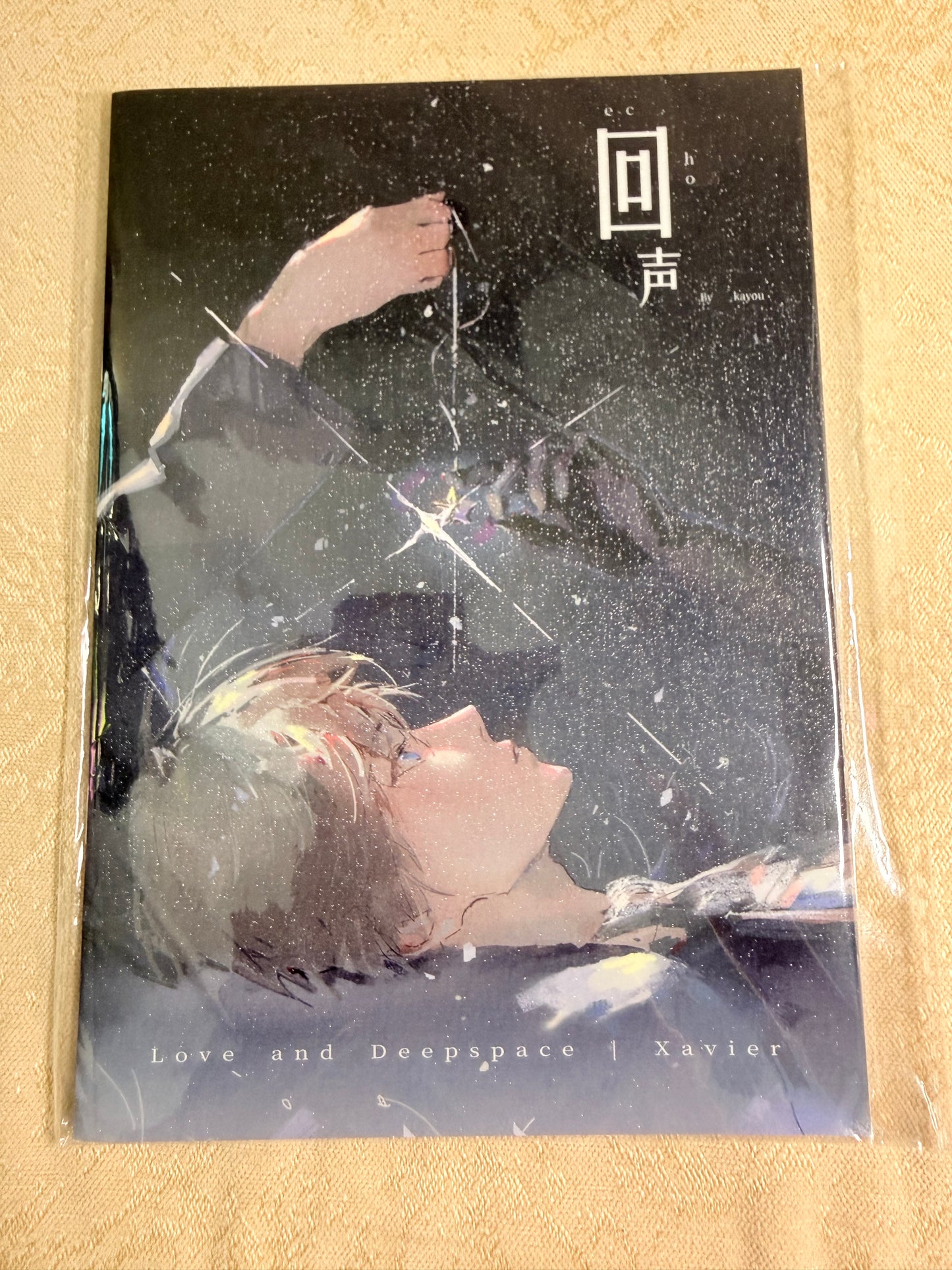 *BackOrder* Xavier Art Book “Echo”