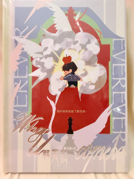 *OutOfStock* Caleb Comic Book “The Wild Swans”
