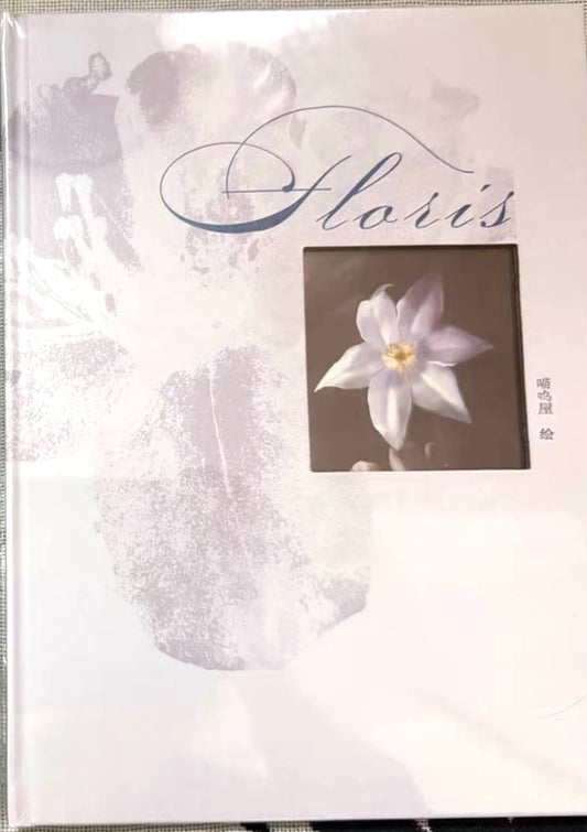 *Preorder* Caleb Art Book “Floris”