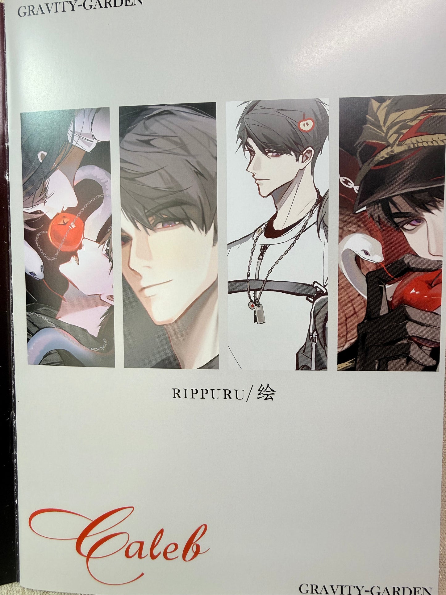 Caleb Art Book "Gravity Garden"